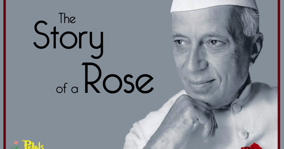 The Story Of  A Red Rose Dehradun
