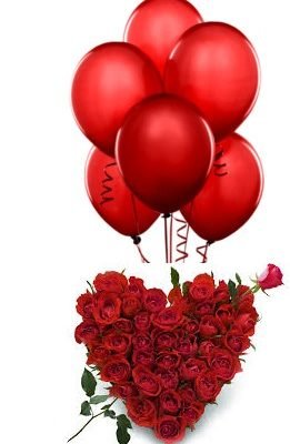 valentine day special rose dehradun