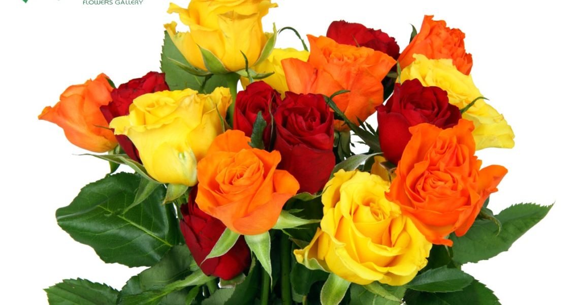 Top Summer Flower Delivery in Dehradun